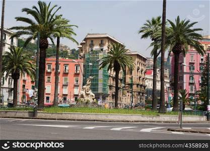 Palm trees in front of buildings, Fontana della Sirena, Piazza Sannazzaro, Naples, Naples Province, Campania, Italy