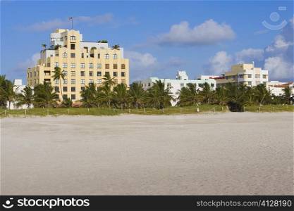 Palm trees in front of buildings, South Beach, Miami Beach, Florida, USA