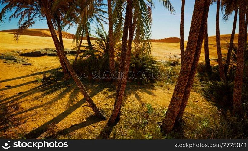 Palm trees of oasis in desert landscape