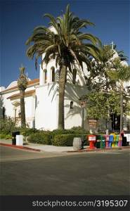 Palm trees on a street corner, Old Town San Diego, San Diego, California, USA