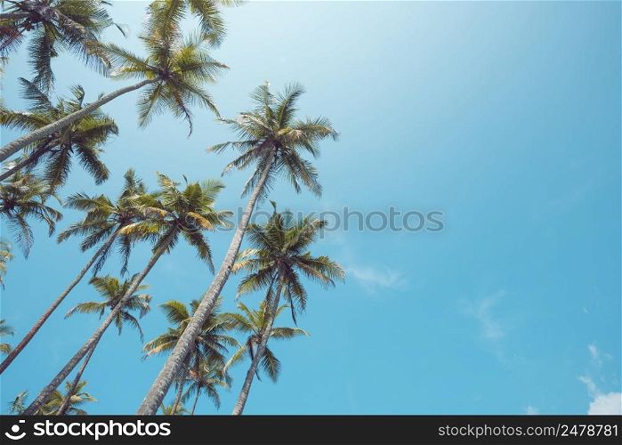 Palm trees on beach with clear sky vintage toned