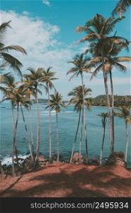 Palm trees on hill at tropical beach, vintage toned and retro color stylized