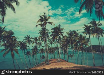 Palm trees on hill at tropical coast, vintage toned and retro color stylized