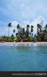 Palm trees on the beach, Luquillo Beach, Puerto Rico