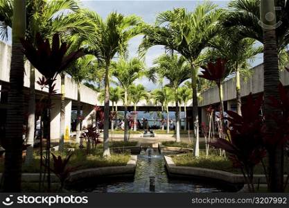 Palm trees on the courtyard of a building, Pearl Harbor, Honolulu, Oahu, Hawaii Islands, USA