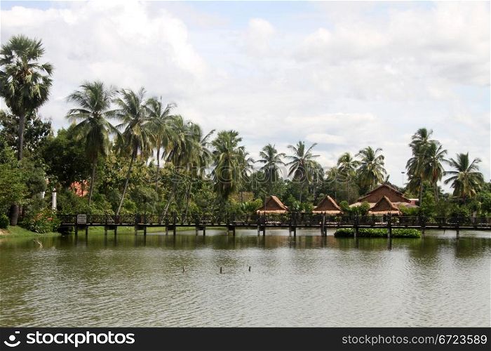 Palm trees on the edge of lale, Sukhotai, Thailand