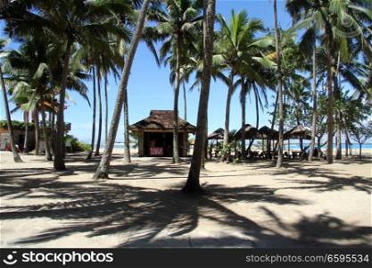 Palm trees on the sand beach in Hainan island, China