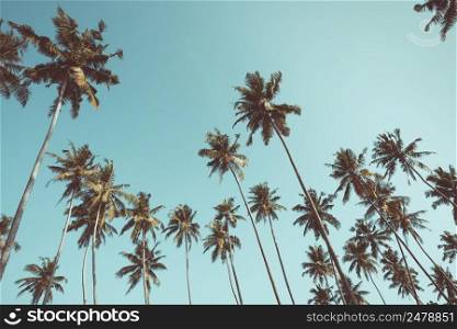 Palm trees on tropical beach at clear day retro color toned