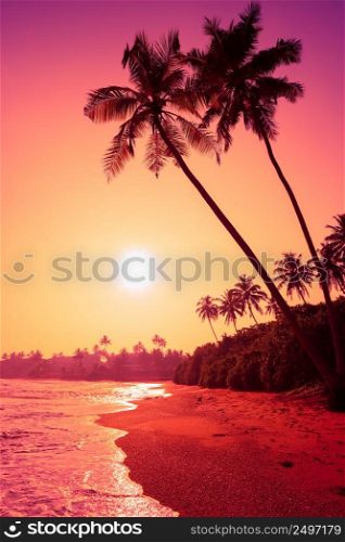 Palm trees on tropical beach at colorful pink tropic sunset