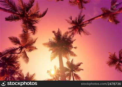 Palm trees on tropical beach at sunrise
