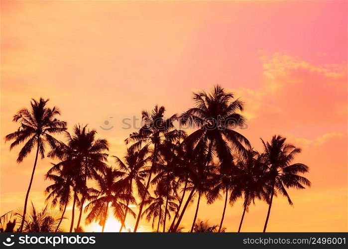 Palm trees on tropical beach at sunrise time