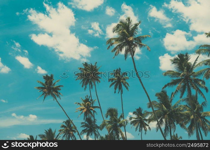 Palm trees on tropical beach, vintage toned