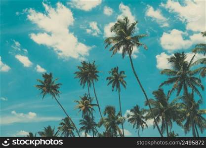 Palm trees on tropical beach, vintage toned