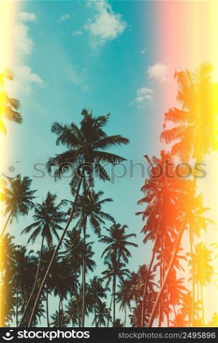 Palm trees on tropical beach, vintage toned and retro color stylized with film style light leaks
