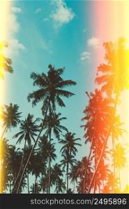 Palm trees on tropical beach, vintage toned and retro color stylized with film style light leaks