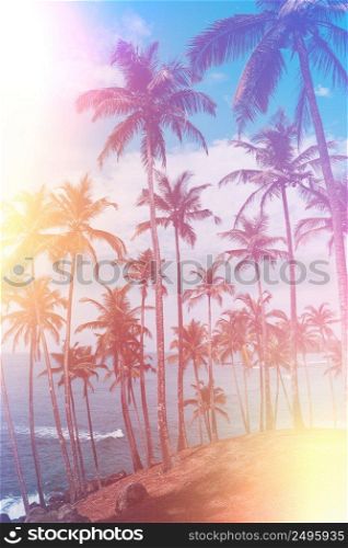 Palm trees on tropical beach, vintage toned and retro color stylized with film light leaks