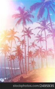 Palm trees on tropical beach, vintage toned and retro color stylized with film light leaks