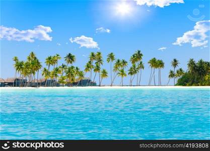 Palm trees on tropical island at ocean. Maldives.