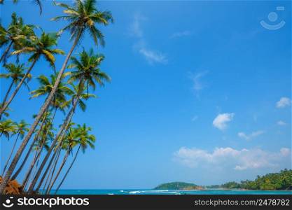 Palm trees on tropical ocean shore