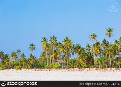 Palm trees on white sand beach. Playa Sirena. Cayo Largo.. Palm trees on white sandy beach