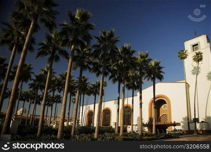Palm trees outside a station, Union Station, Los Angeles, California, USA