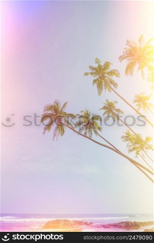 Palm trees over the ocean on beach vintage film color leaks stylized