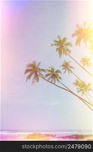 Palm trees over the ocean on beach vintage film color leaks stylized