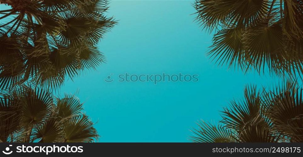 Palm trees perspective view. Frame composition with corner tropical palm leafs and center copy-space.