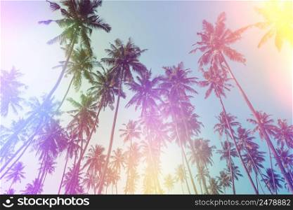 Palm trees perspective view vintage film stylized with film light leaks