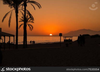 Palm Trees Silhouette At Sunset in the beach. Malaga, Andalusia, Spain.. Palm Trees Silhouette At Sunset in the beach.