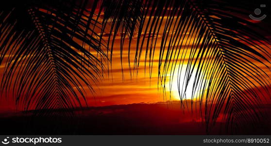 Palm trees silhouette at sunset. sunset and beach. Beautiful sunset above the sea