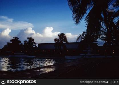 Palm trees silhouetted against the sky at sunset, Grand Bahamas, Bahamas
