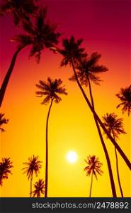Palm trees silhouettes at vivid warm tropical sunset
