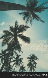 Palm trees view from the ground to the top, vintage toned and retro color stylized