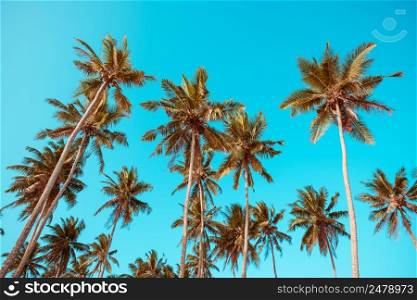 Palm trees vintage color toned