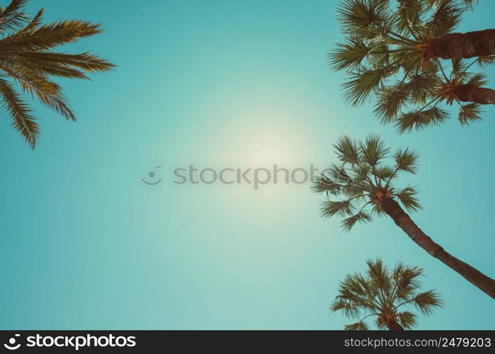 Palm trees vintage color toned summer hot day perspective view with copy space