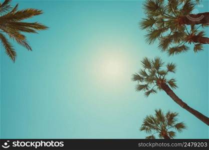 Palm trees vintage color toned summer hot day perspective view with copy space