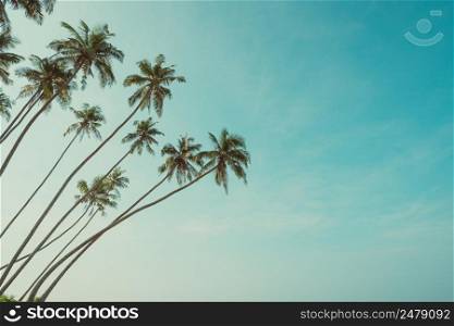 Palm trees vintage toned hanging over tropical sea beach with copy space