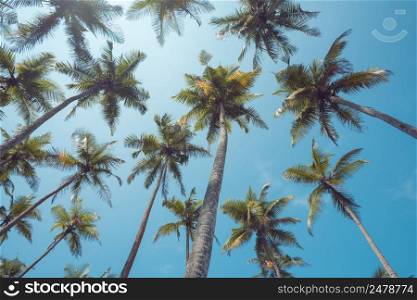 Palm trees with clear sky vintage color toned