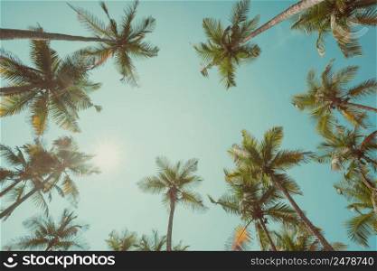 Palm trees with coconuts at clear summer day vintage toned