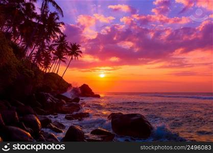 Palm tress on tropical coast at sunset