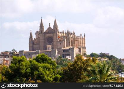 Palma de Mallorca Cathedral de la Seo Majorca Balearic Islands