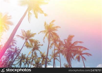 Palms at shiny summer day vintage film stylized with colorful light leaks