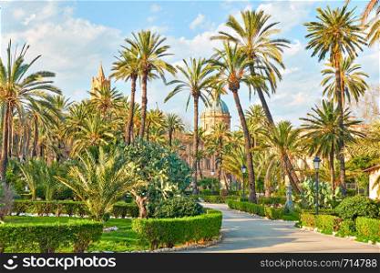 Palms in the Villa Bonanno public garden and Palermo Cathederal in the background, Palermo, Sicily, Italy