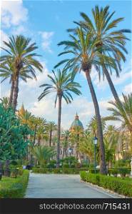 Palms in the Villa Bonanno public garden in Palermo, Sicily, Italy