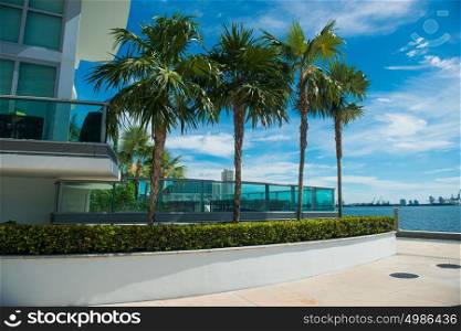 Palms near condominium building in Miami Downtown at sunny day