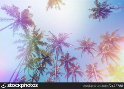 Palms perspective view from ground to sky vintage film stylized with colorful light leaks
