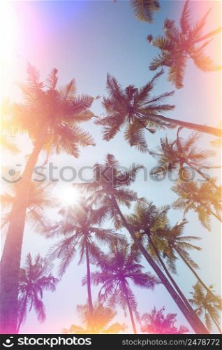 Palms trees on a beach vintage stylized with film light leaks