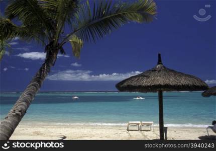 palmtrees on a beach on the island of Mauritius in the indian ocean. INDIAN OCEAN MAURITIUS BEACH