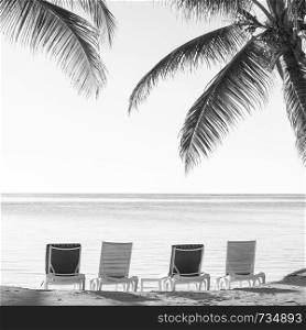 Palmtrees on tropical beach with deckchairs in the sand overlooking the water in stunning black and white
